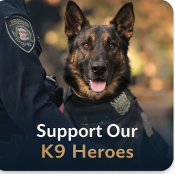 donate now Cruising for K9s